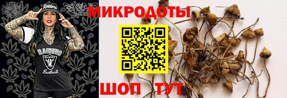 что такое наркотик  Псилоцибиновые грибы GOLDEN TEACHER  Галлюциногенные грибы мухоморы  Вход с VPN  Ялта 