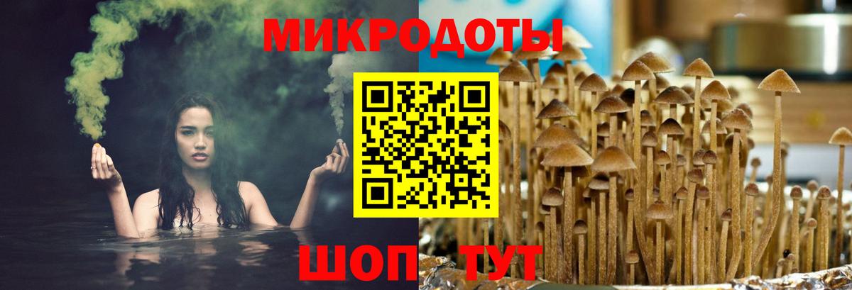 Галлюциногенные грибы мухоморы Ялта